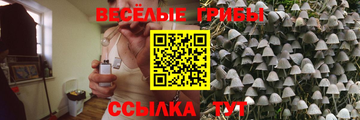 Псилоцибиновые грибы Cubensis  Галлюциногенные грибы мухоморы  Вход с VPN  Михайловск 